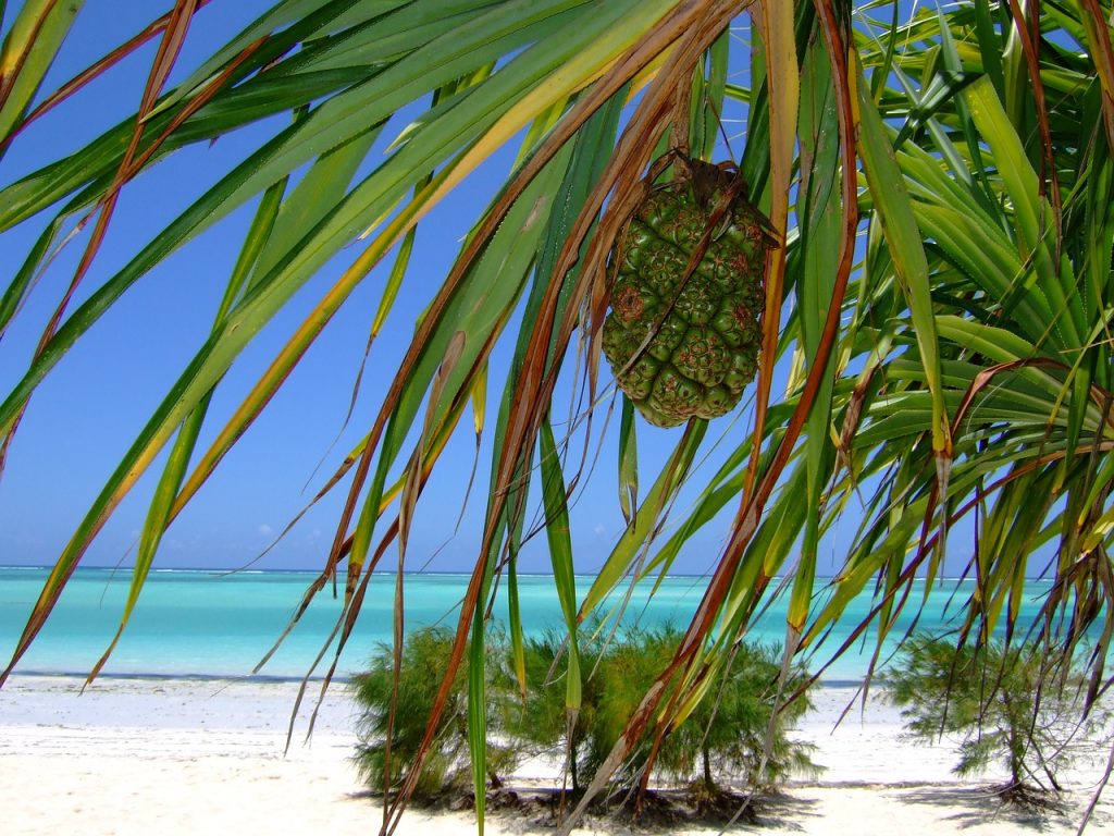 zanzibar plages