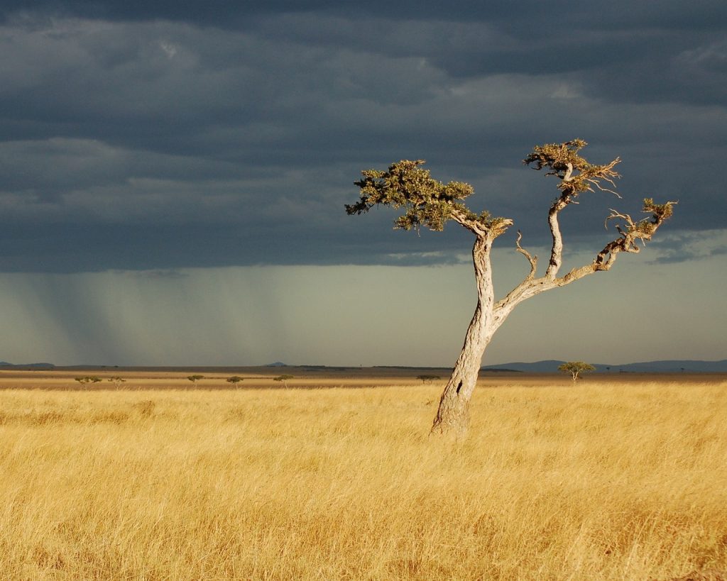 saison afrique