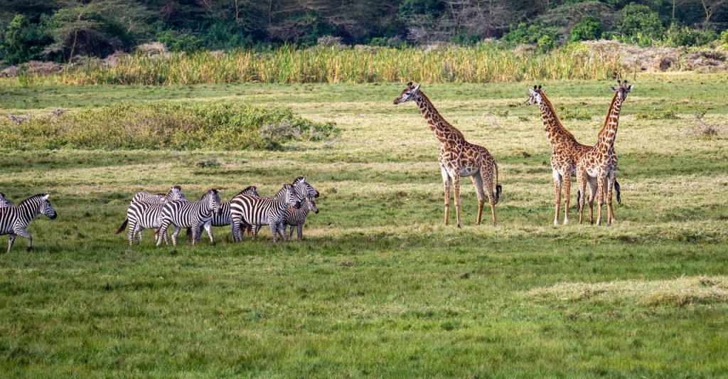 Arusha National Park