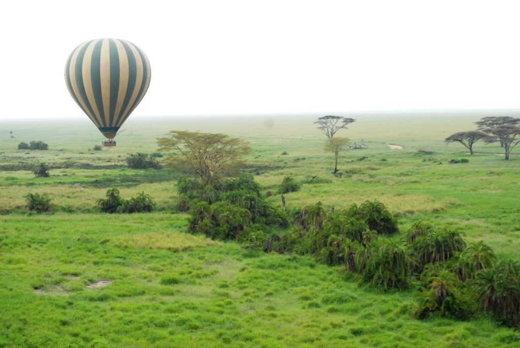 Tanzanie serengeti montgolfière