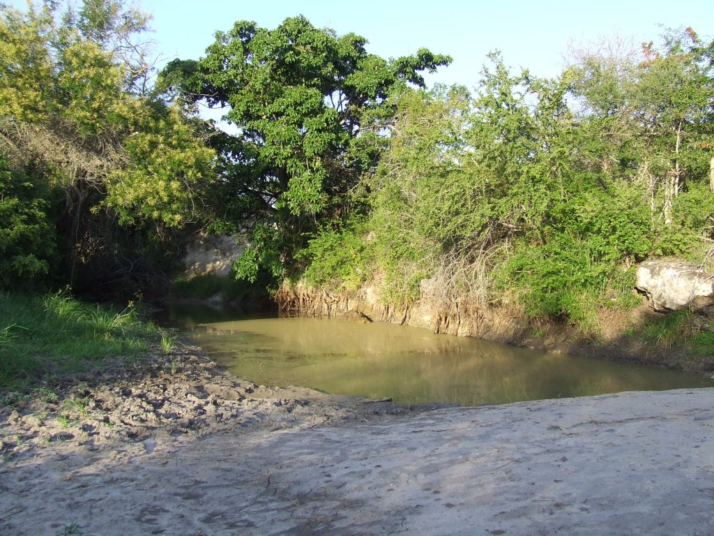 Mkomazi National Park