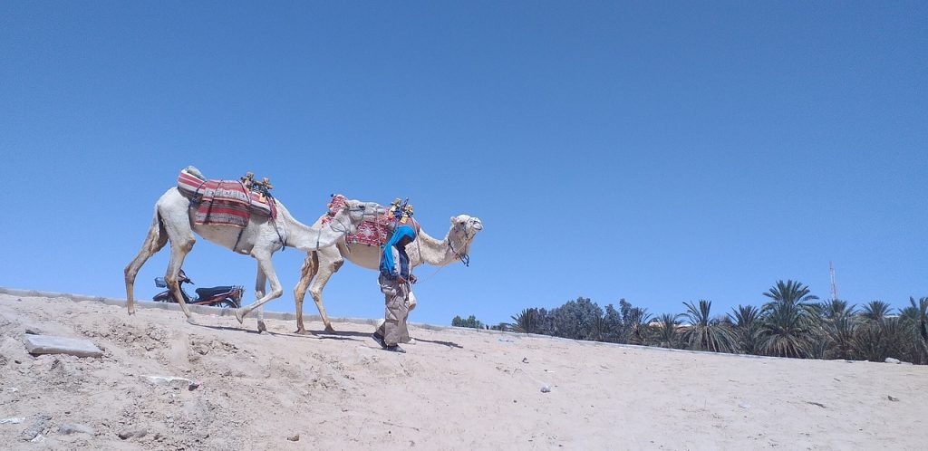 désert Tunisie