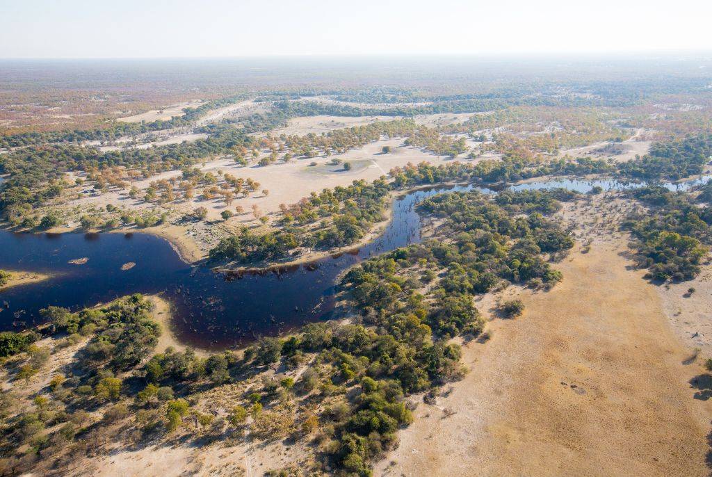 Les secrets cachés du Delta de l'Okavango : une aventure en safari