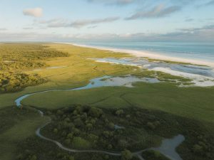 Parc national de Saadani : entre savane et mer, une expérience sauvage unique