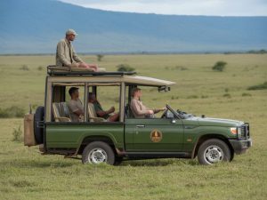 Lake Manyara : safari, faune et conseils pratiques pour explorer le parc