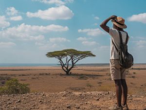 Meilleure période pour la Tanzanie : météo, saisons et conseils pour bien voyager