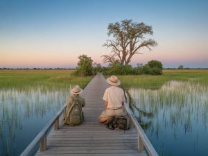 Le delta de l’Okavango au Botswana : safari inoubliable au cœur d’un oasis sauvage