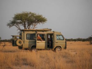 Safari camping Botswana : conseils pratiques, budget et meilleurs spots pour dormir au plus près de la faune