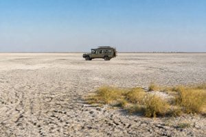 Botswana : visiter makgadikgadi pans national park en safari