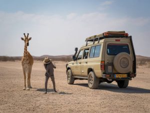 Safari en Namibie : 7 erreurs qui ruinent un road trip entre Etosha et le désert du Namib
