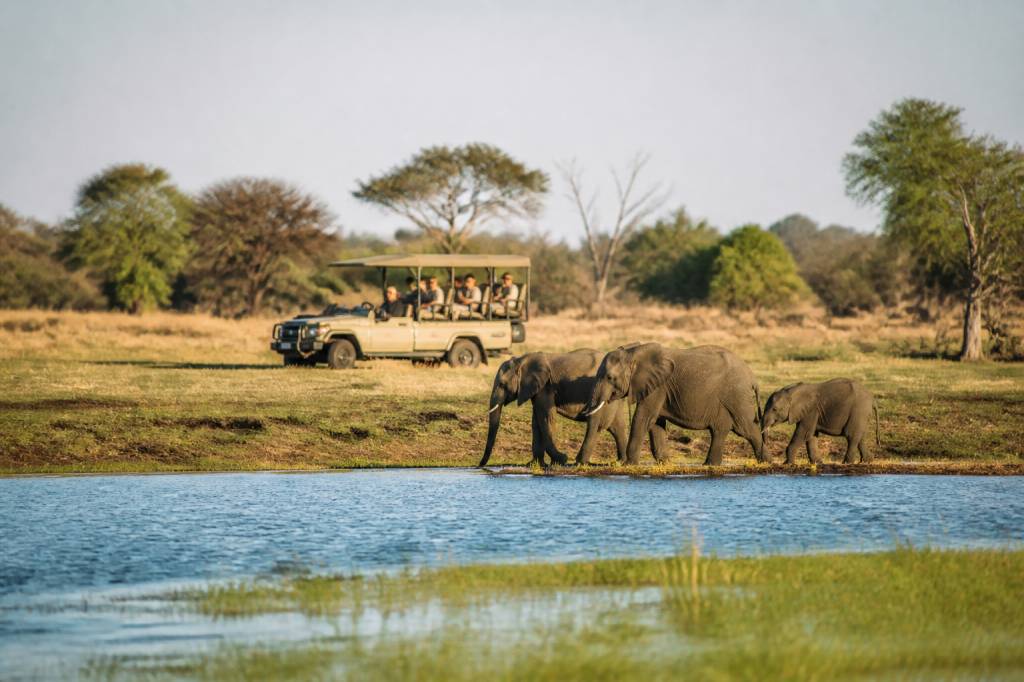 Affordable botswana safari : conseils et itinéraires pour un voyage réussi