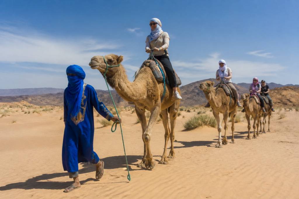 Balade chameau en Afrique : les plus belles expériences à vivre