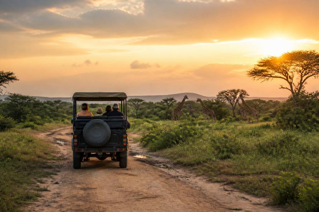 Afrique du sud safari prix : combien coûte un safari et comment payer moins cher