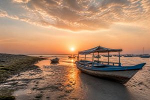 Avis safari kenya : mon retour d’expérience et conseils pour bien choisir son voyage