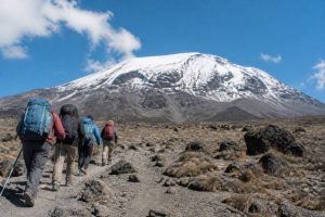 Ascension du Kilimandjaro : prix, budget et conseils pour préparer votre trek