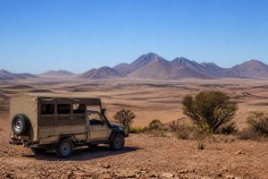 Prix safari namibie : combien coûte un voyage en Namibie ?