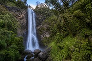 Aberdare national park : que voir et que faire dans ce parc du kenya