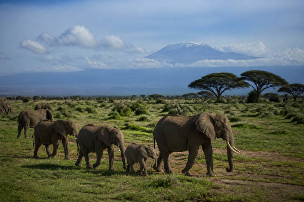Kenya climat : quand partir selon les saisons ?