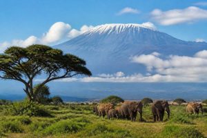 Paysages du Kenya : les plus beaux panoramas à découvrir