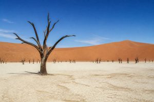 Dead Vlei dans le namib desert en namibia