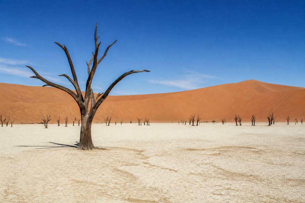 Dead Vlei dans le namib desert en namibia