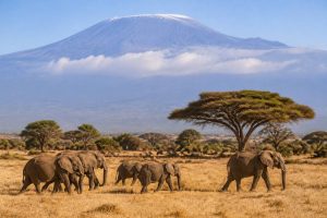 Paris windhoek : comment organiser un vol vers la Namibie
