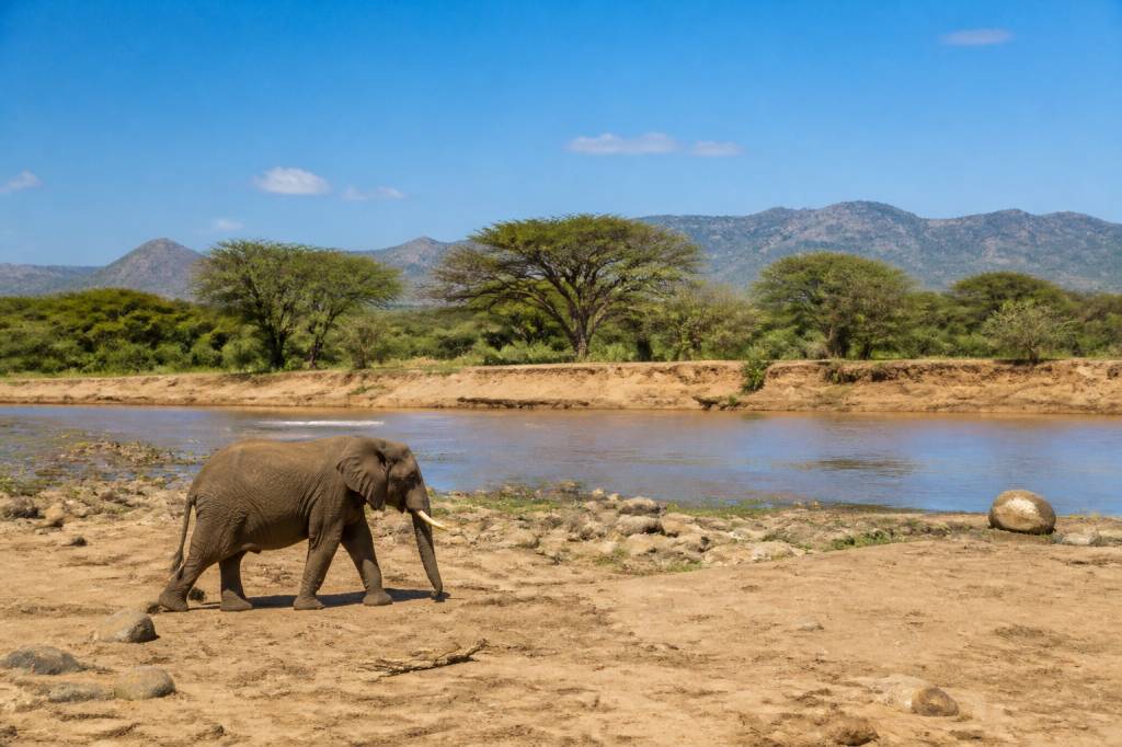 Samburu : que voir et faire lors d’un safari au Kenya