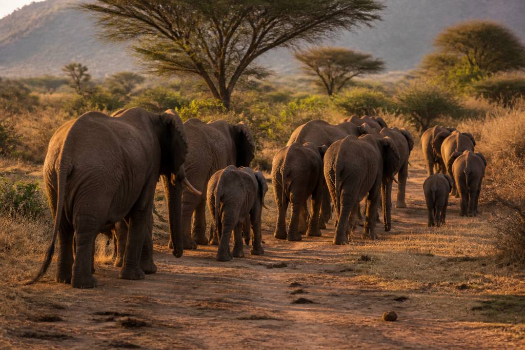 Grootfontein en Namibie : que voir et que faire lors d’un voyage dans le nord du pays