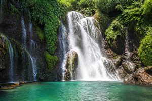 Africa Kenya safari : itinéraire incontournable pour découvrir les grands parcs du Kenya