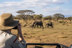 Kenya en septembre : météo, safaris et conseils pour votre voyage