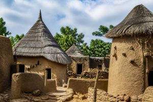 Gorille africain : où l’observer et comment préparer son voyage en Afrique