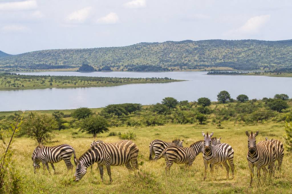 Lake Mburo : guide complet pour découvrir le parc national en Ouganda