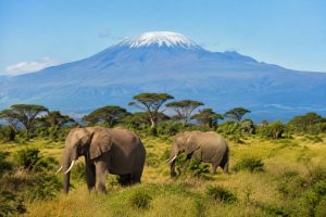Îles tanzaniennes : les plus belles îles à découvrir en Tanzanie