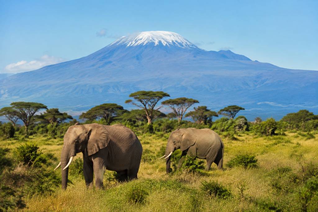 Îles tanzaniennes : les plus belles îles à découvrir en Tanzanie