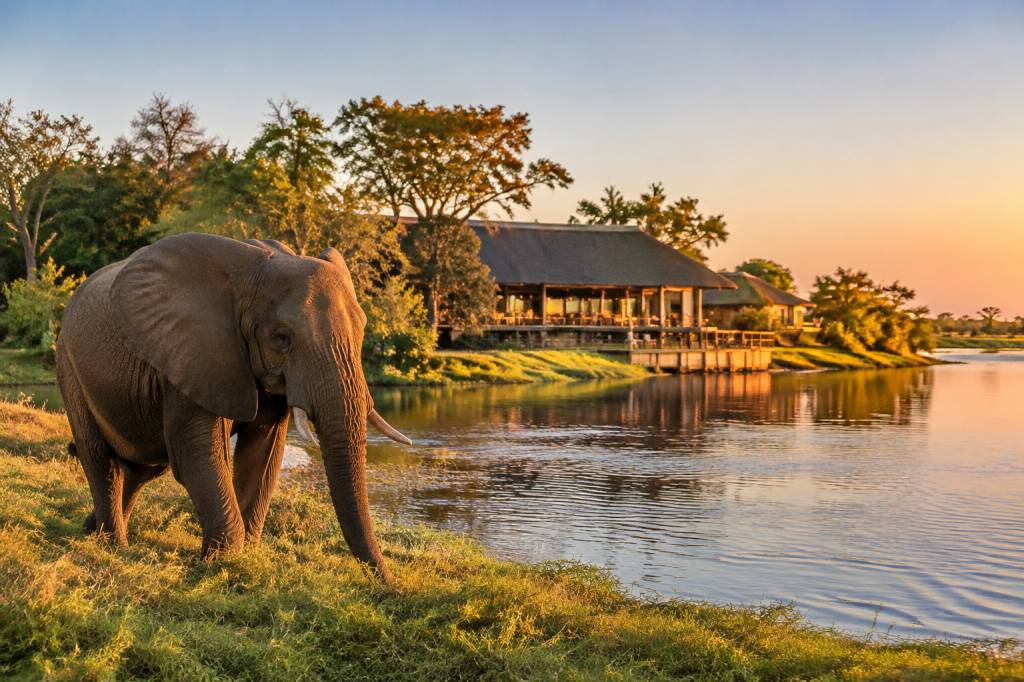 Chobe Elephant Camp : avis, accès et safari au Botswana