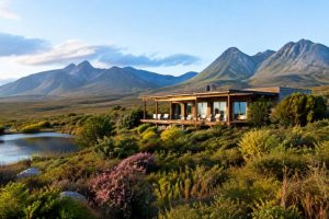 Grootbos Private Nature Reserve : que voir et faire dans cette réserve d’Afrique du Sud ?