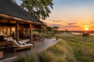 Sango Safari Lodge Botswana : avis et conseils pour votre séjour en safari